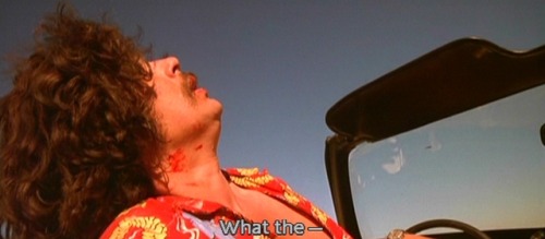 Fear and Loathing in Las Vegas