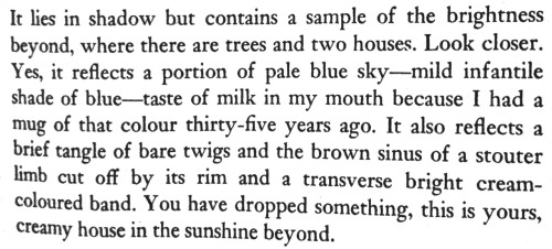 days-of-reading:Vladimir Nabokov, Bend Sinister