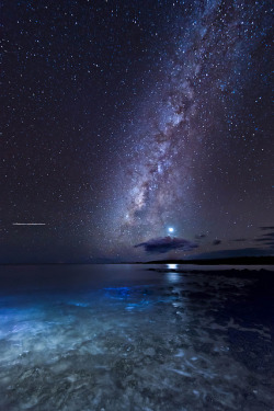 tulipnight:  Milky Way and Venus by spalla67 on Flickr. 