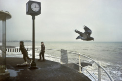 ovtro:  Pidgeon @ 12;14pmcolourD by bob.mazzer on Flickr. 