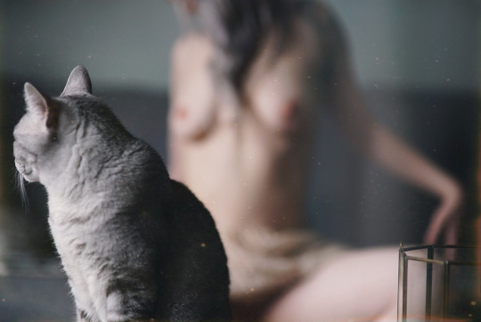 Erotism, pornography, colours, nihilism and stuff