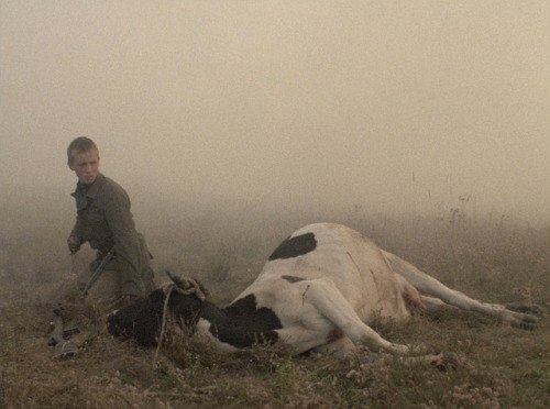 lyingfigure: liinza: Come and See, Elem Klimov, 1985 now THIS is a horror movie 