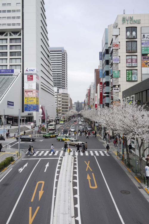 asterisk-: Tokyo 2013 by Kusou Gallery