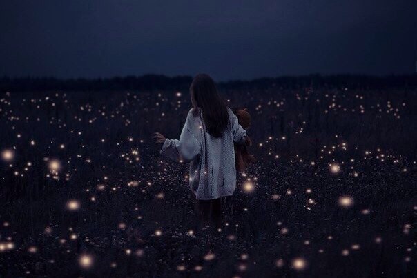 claire-in-wonderland8:  summer…. fireflies