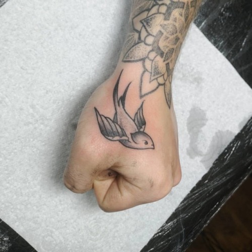 Mercer Draws Things — Little freehand swooper walk in #tattoo #swallow...