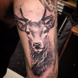 tattoosnyc:  Buck by Brandon Smith, Motor City Tattoos, Oshawa ON http://ift.tt/22vm7xt