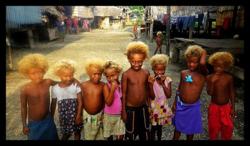 teaplusbeardspluscake:  theurbanchica:  //deconstructing the eurocentric view of blonde hair..  visit melanesia’s solomon islands {1800 kilometers northeast of australia} and you’ll notice a striking contrast: about 10% of the dark-skinned islanders