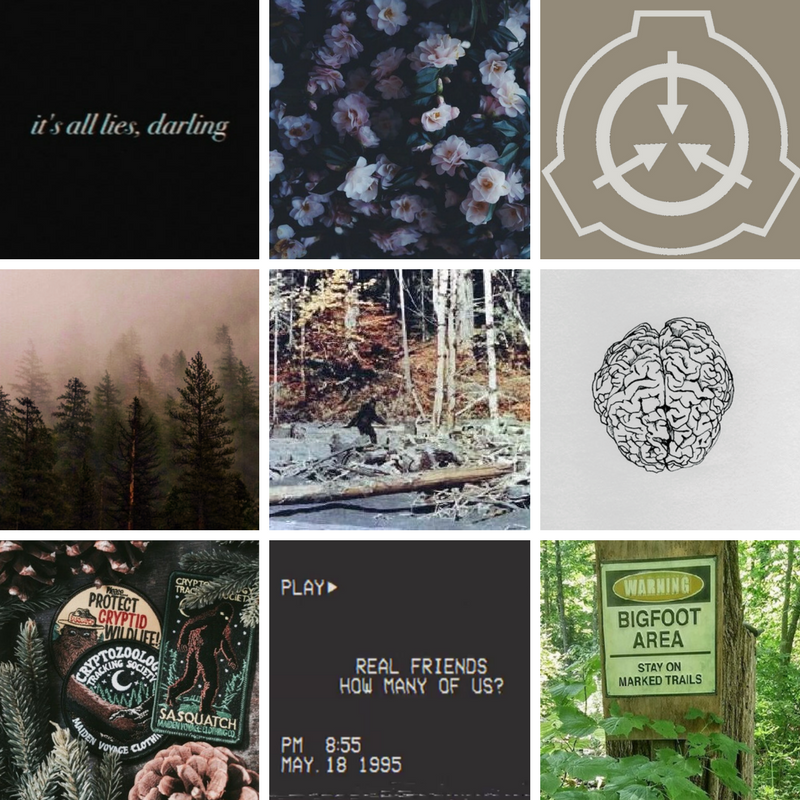 SCP Aesthetics — SCP Aesthetics: 1000 (requested by