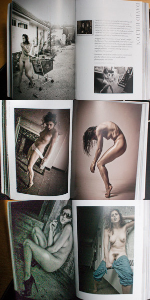 Porn photo “The Mammoth Book of Erotic Photography,