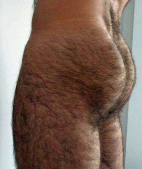 redbearbating:  redbearbating.tumblr.com  Good God, I’m Lovin that furry butt, & those furry thighs too. Furry Butts Drive ME! Fuckin Nuts.  Love to lick that furry but and thighs.