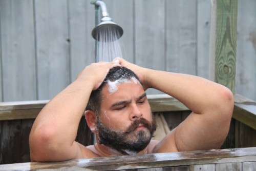 gulobear:  naughtyjustlikeyou:  indiecub   YUM