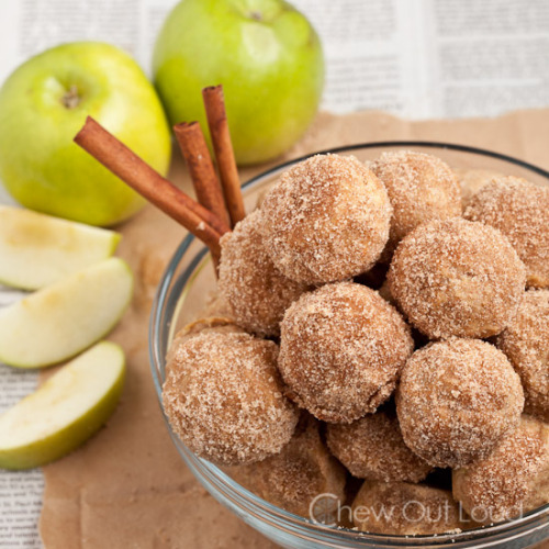 wannabe-alice2: ~ LOW CAL - VEGAN | Sugar-Cinnamon Balls Recipe ~49 calories | 1g Protein | 1,5g Fat