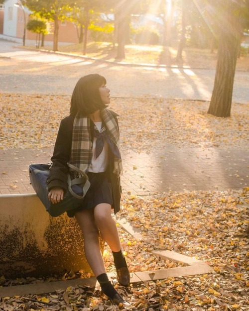 natsuko-kakuusou:#portrait #photograph #photoshoot #japanese #japaneseview #schooluniform #girl #aut