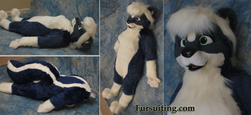 Skunk suit completed for Taki! Photos taken on the owner’s duct tape dummy. Suit includes femi