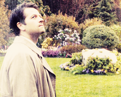 oswinsangel:♔ Supernatural Meme three angels [1/3] → Castiel 