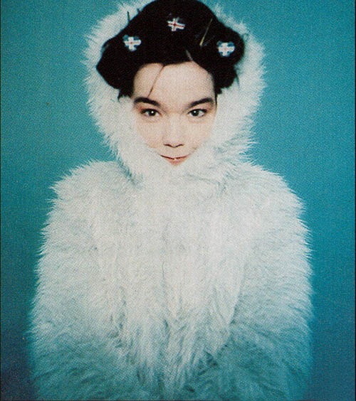 bjorkfr:  Snorri Brothers (1997)