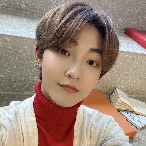 MON SELCA ICONS