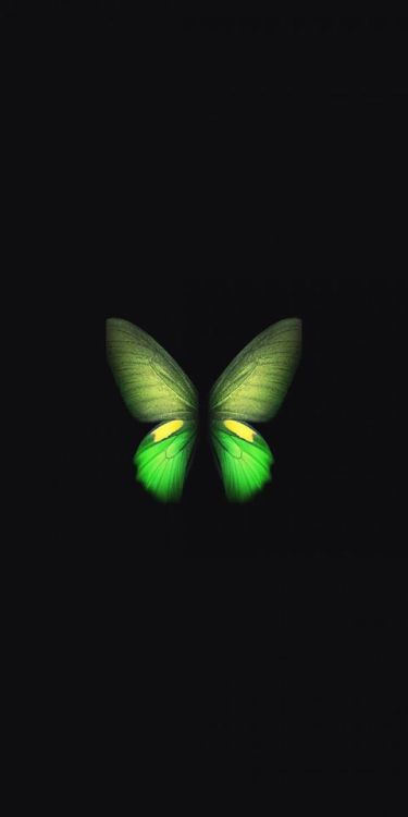 Samsung Galaxy Fold, green butterfly, minimal, art, 1080x2160 wallpaper @wallpapersmug : ift