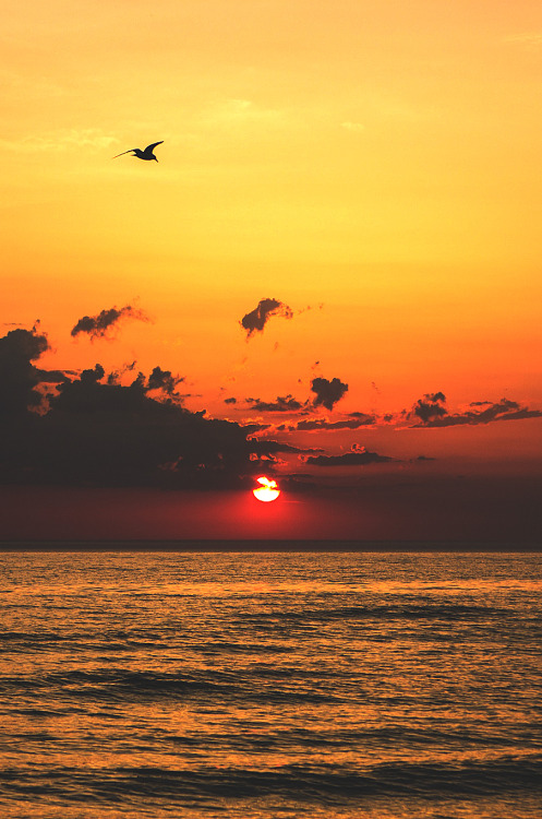 wavemotions:Evening redness by Darius Birstonas