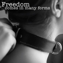 pleasureinpictures:  direwolfdominant:  Freedom comes in many forms   🖤