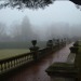 queenmoriarty:the rain knows all my secrets 