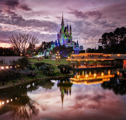 Disney World