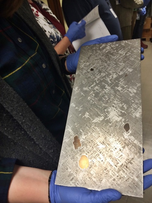 meadowmoth:In the meteorite vault.yay for iron meteorites and pallasites!