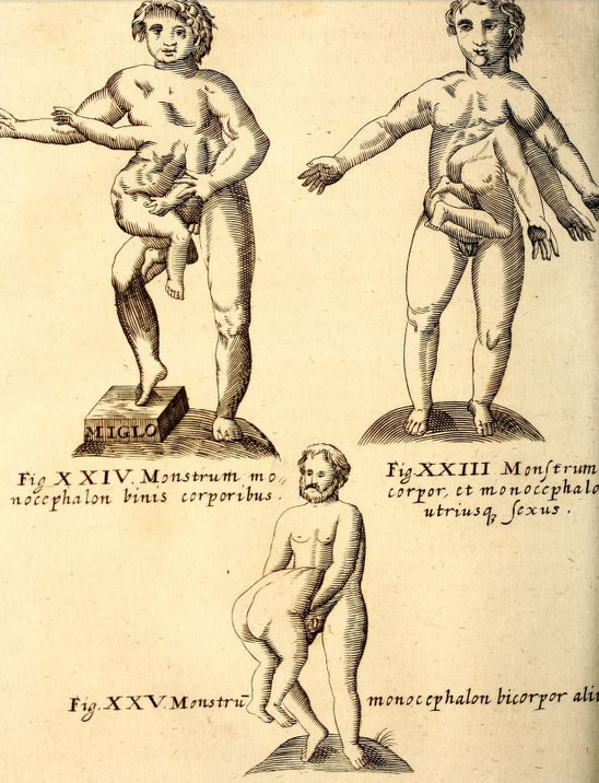 magictransistor:Gaspar Schott. Physica Curiosa, Mirabilia Naturæ et Artis. 1662. 