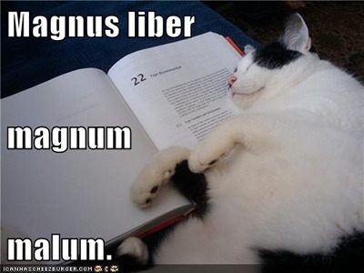 interretialia:interretialia:Magnus liber magnum malum.A big book is a big evil.(From Bestiaria Latin