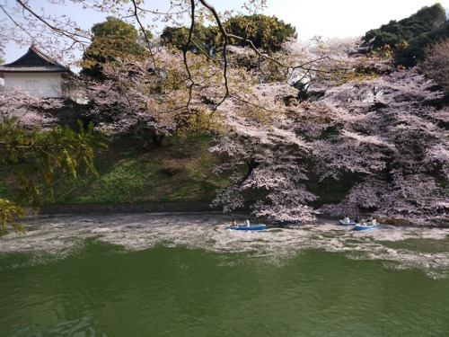 kvnai - Chiyoda. Tokyo, Japan,