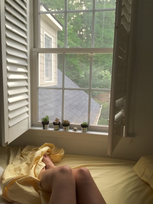 rafsimo: The view from my new bedroom is quite cozy. Plus I’m loving these French shutters and yello