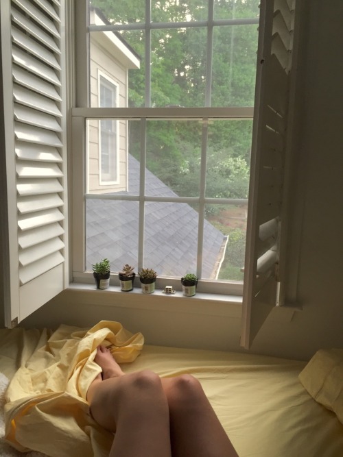 rafsimo:The view from my new bedroom is quite cozy. Plus I’m loving these French shutters and yellow