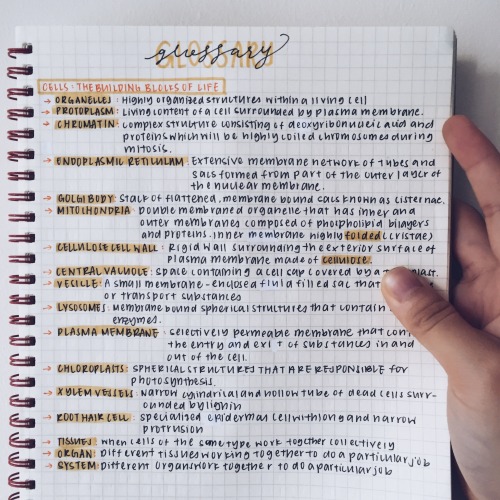 mediocrestudyblr: writing definitions for bio  check out my studygram!