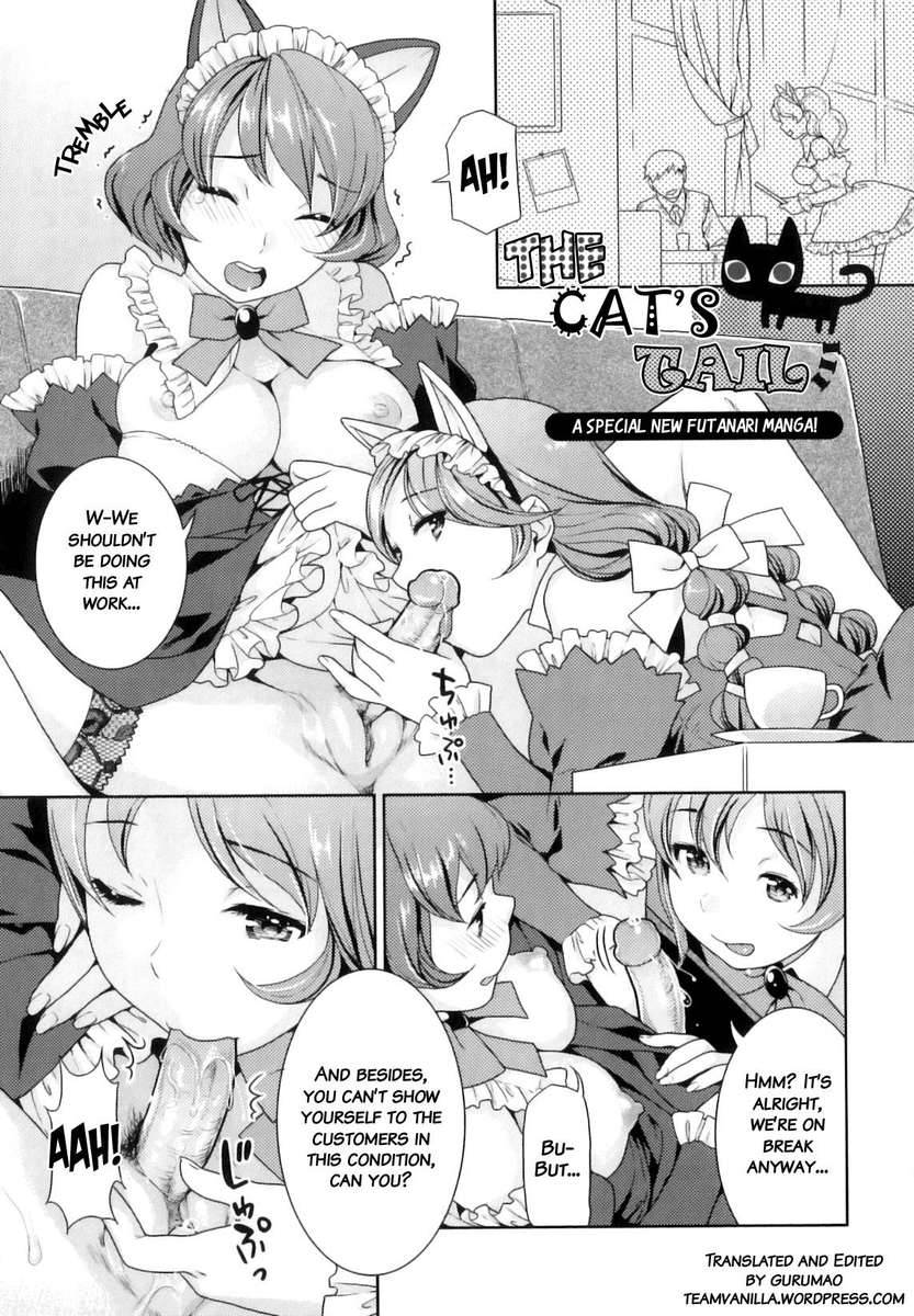 doujinlibrary:  Futanari Relations chapter 11