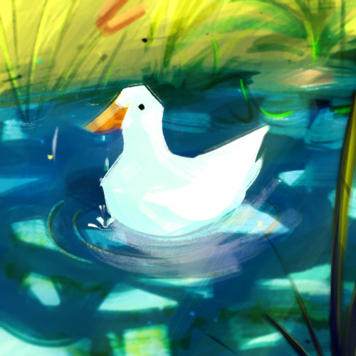 chickenstab:please enjoy this quick warm up of a duck i did earlier