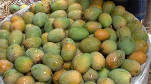guti mango