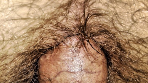 barebearx:  backfur:Click here to followBackfur for daily updates of HAIRY/BEEF/HORNY/DADDY  Your daily dose of Fur  ~~PLEASE FOLLOW ME ** 😊😊😊🐼 ♂♂ OVER 50,500 FOLLOWERS   (Thank You)  ~~~~~~ http://barebearx.tumblr.com/ **for HAIRY men
