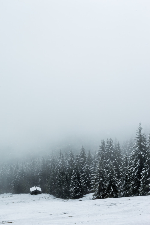 just-breezy:solitude kai morgener