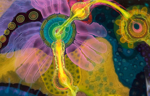 asylum-art-2:   Bruce Riley Creates Psychedelic Art By Pouring Paint And Resin Onto