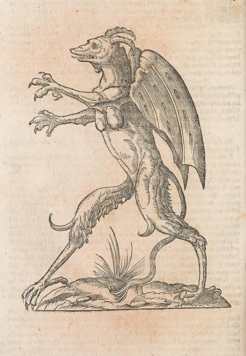 smithsonianlibraries: Some illustrations of monsters from  the 1642 book Vlyssis Aldrouandi pat