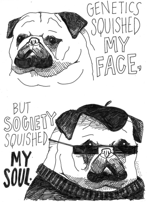 lifeofalovestruckactor:  Wisdom from the minds of pugs