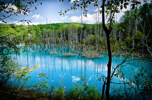Blue Pond, Hokkaido 