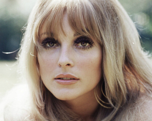  Sharon Tate, c. 1965. 