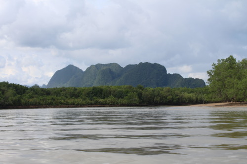 View on the way back.