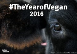 peta2:  Make 2016 count. Go vegan. 