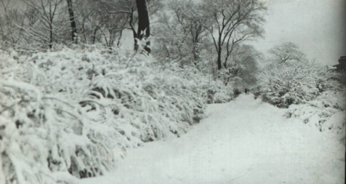 It’s cold out there, but Chicago has a long history as a winter wonderland. Here you see Chicagoans 