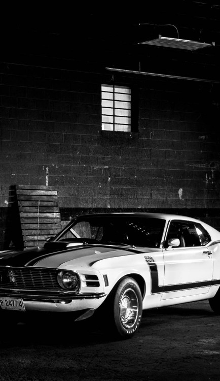 h-o-t-cars:   1970 Ford Mustang Boss 302 | Source