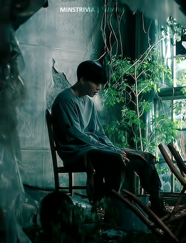 Stay Gold Vs. Fake Love