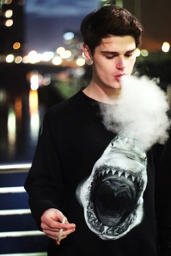 https://64.media.tumblr.com/bf72a2a2b9fd9e7b1f6aa7dcfa0941d2/tumblr_n4d9618bSs1t5krhpo1_500.jpg