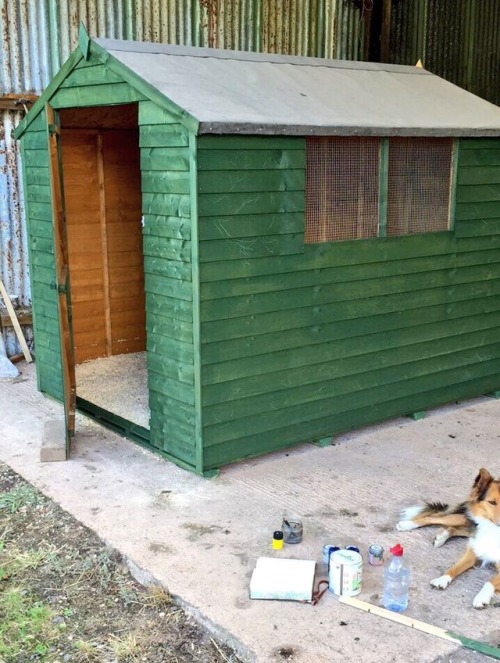 brionymaysmith:Painted a Goose Shed